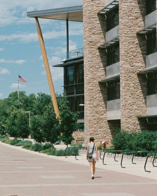 picture of a university campus